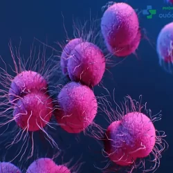 Cùng đi tìm lời giải đáp cho câu hỏi bệnh lậu có nguy hiểm không?