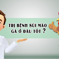 Top 10 địa chỉ phòng khám chữa sùi mào gà Bắc Ninh bác sĩ giỏi, khám ngoài giờ