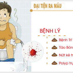 Top 10 địa chỉ phòng khám chữa đi đại tiện ra máu tươi Bắc Ninh