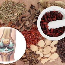 Đau xương khớp dai dẳng? Gợi ý bác sĩ Đông y chữa xương khớp ở Bắc Ninh uy tín